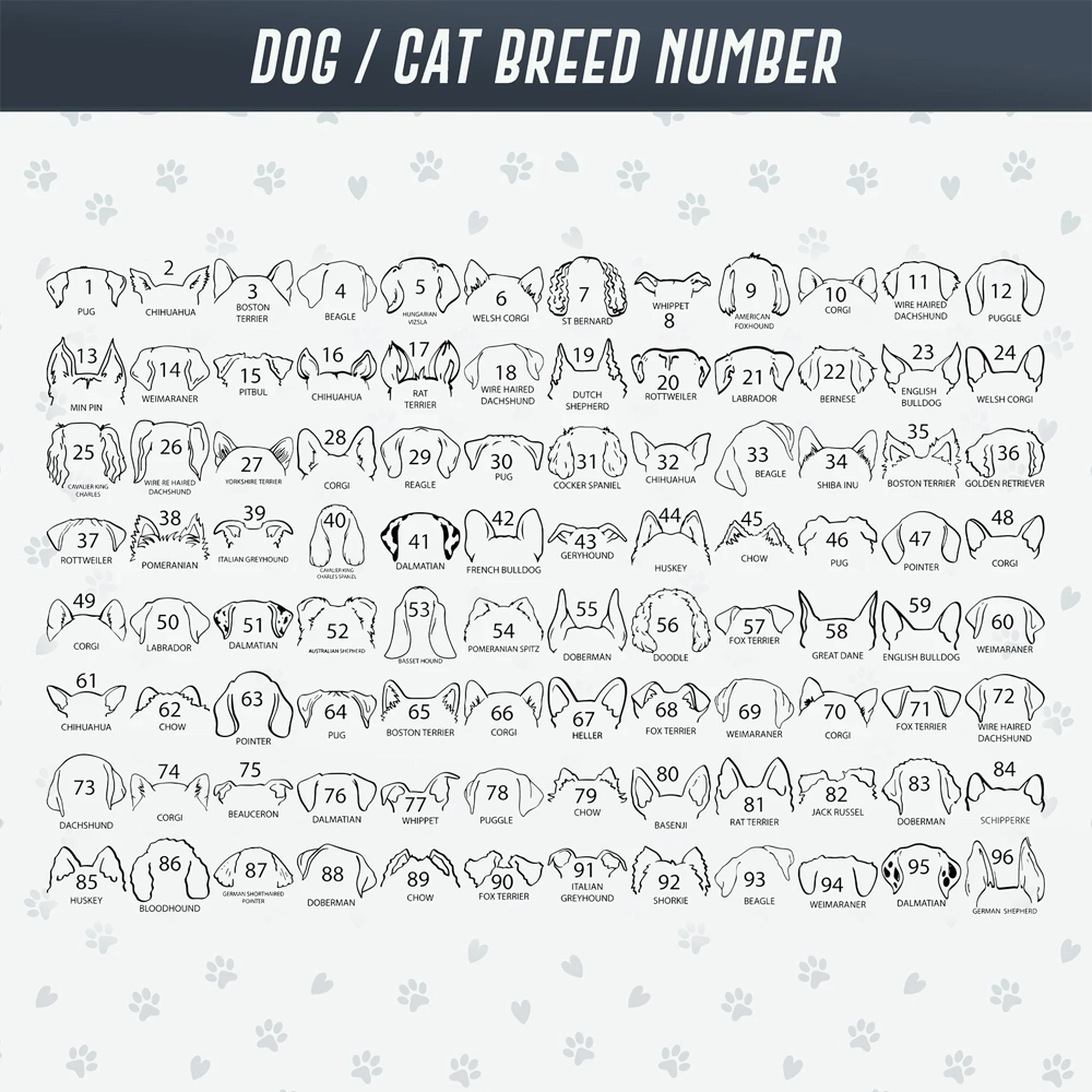 a dog and cat breed number is shown