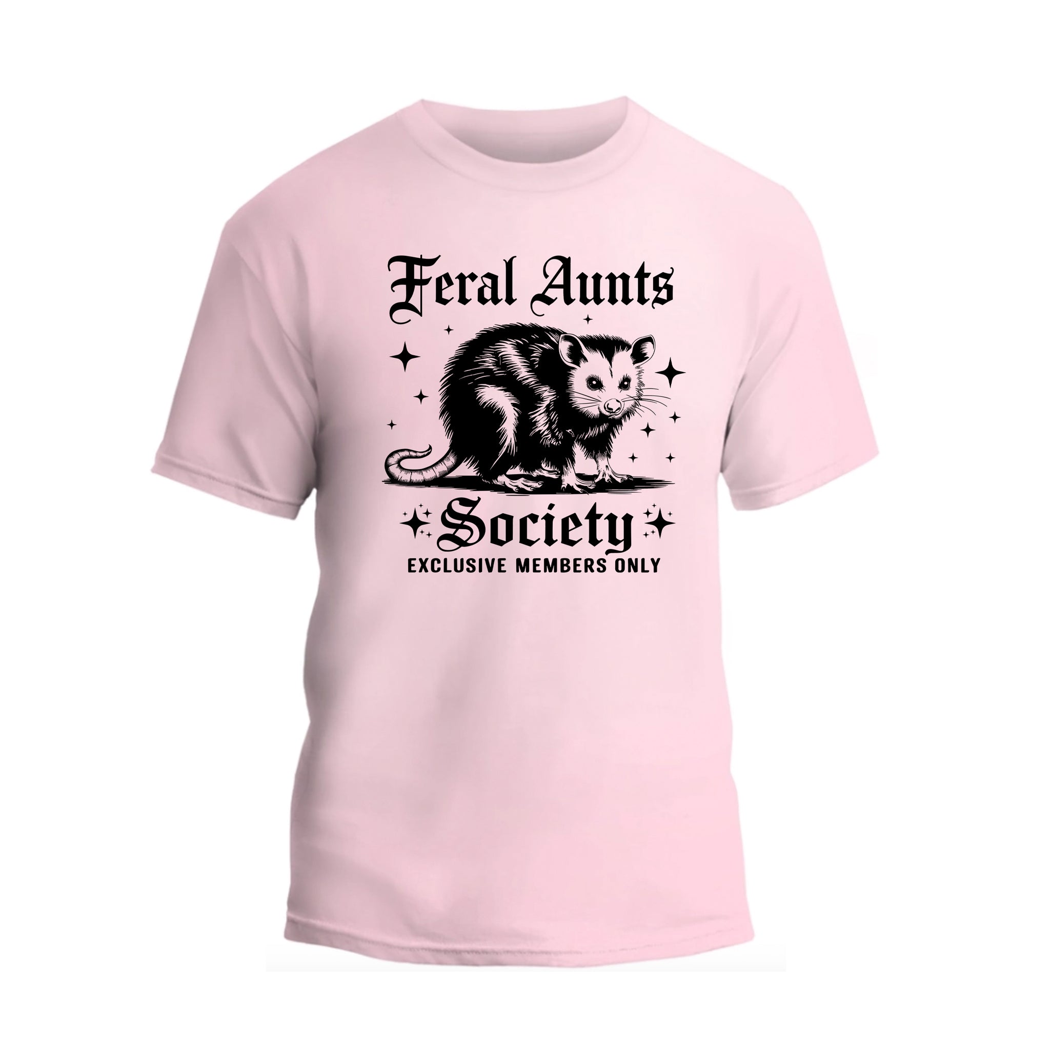 Feral Aunts Society Shirt, Funny Racoon Aunt T-shirt, Gift For Women