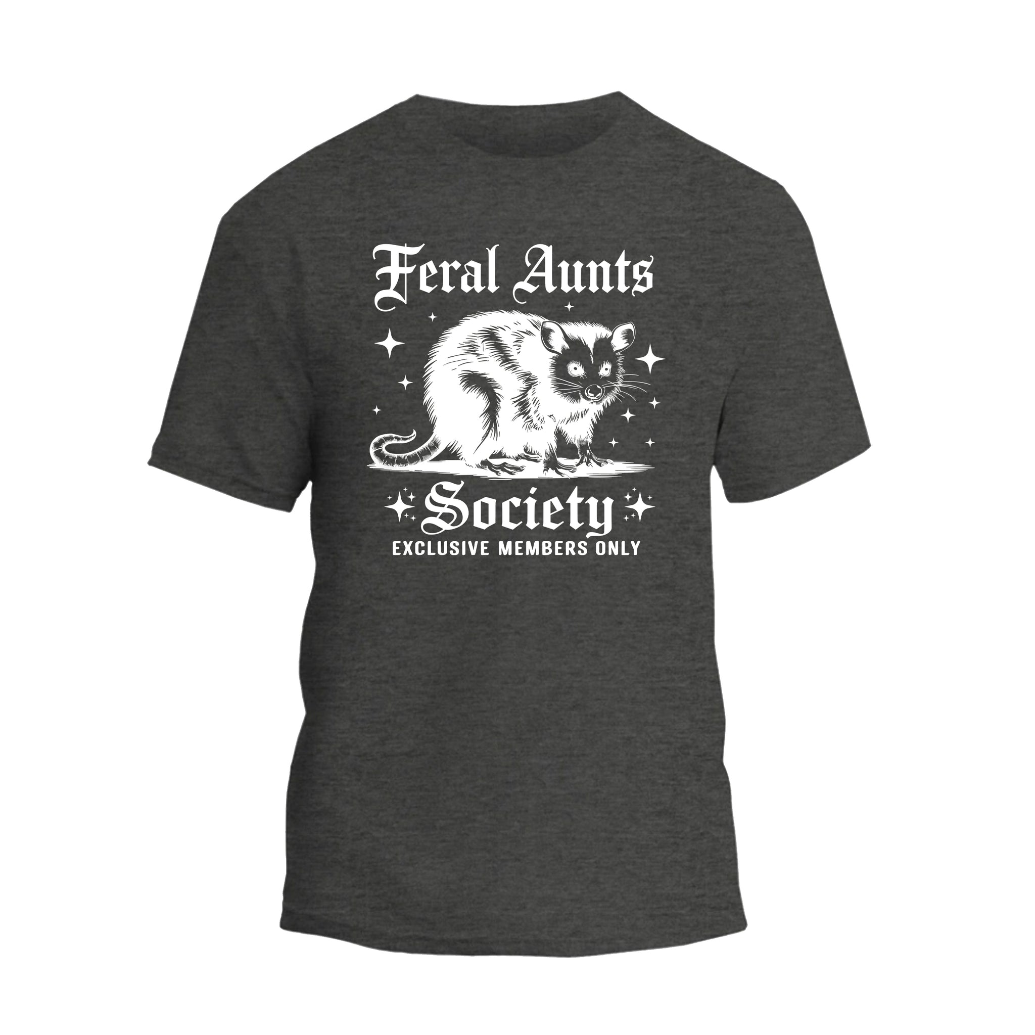 Feral Aunts Society Shirt, Funny Racoon Aunt T-shirt, Gift For Women
