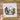 A hand is holding a clear sheet with a Halloween-themed illustration of a raccoon, a ghost, and a jack-o-lantern.