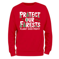 Protect Our National Parks Sweatshirt, Earth Day Sweatshirt