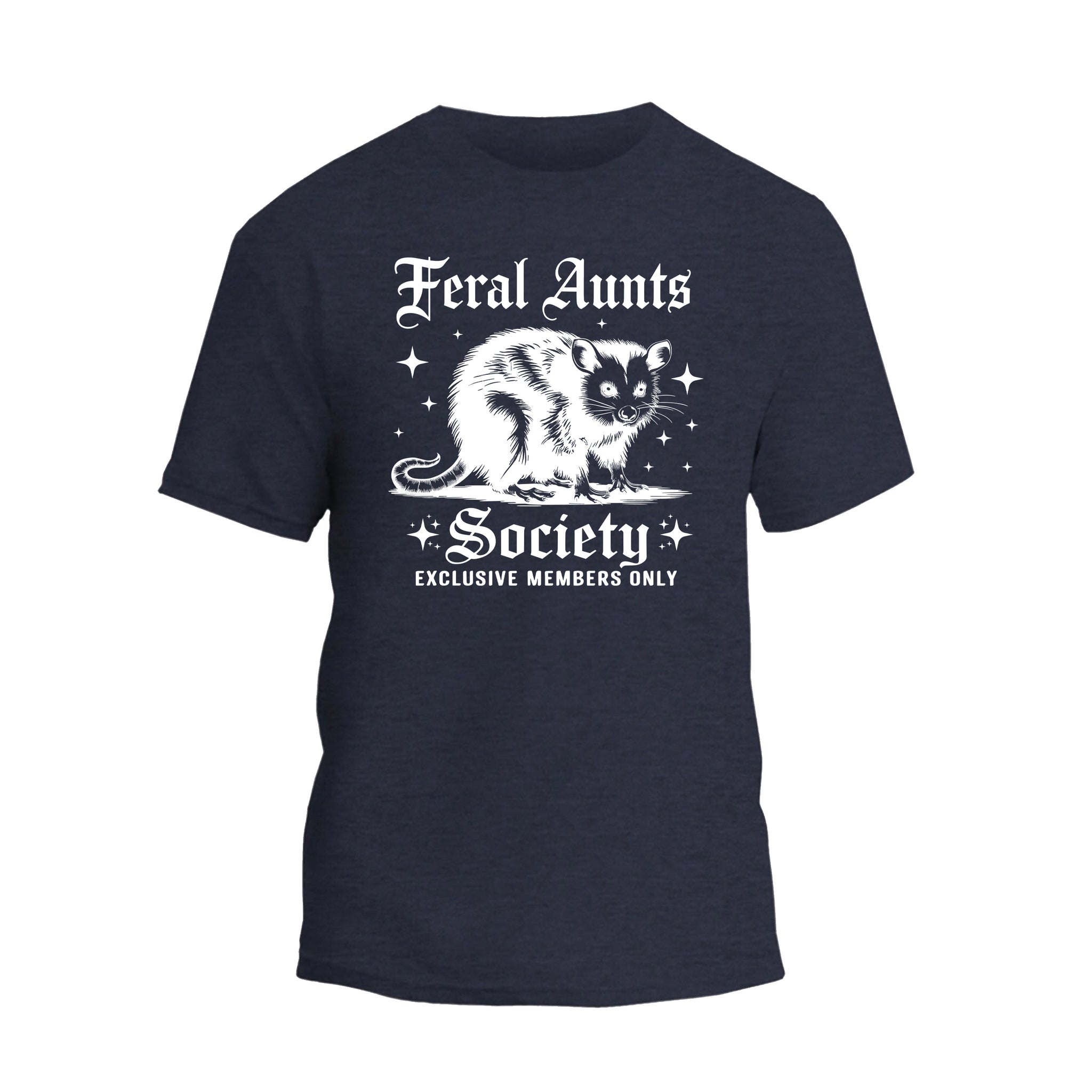 Feral Aunts Society Shirt, Funny Racoon Aunt T-shirt, Gift For Women