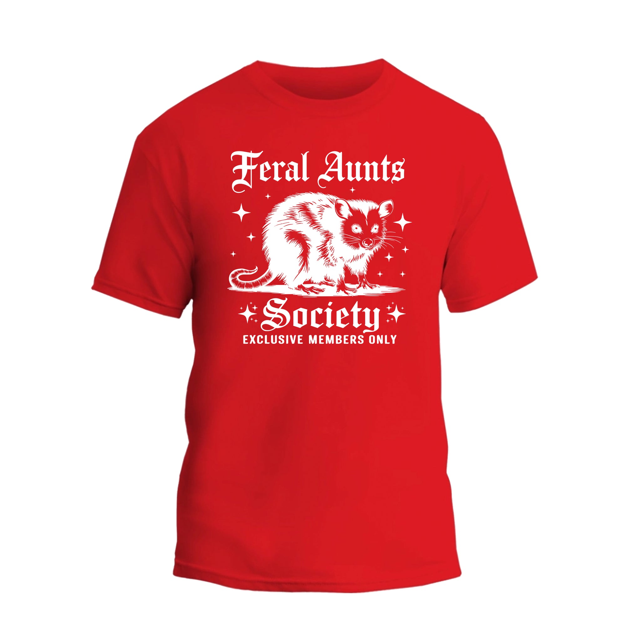 Feral Aunts Society Shirt, Funny Racoon Aunt T-shirt, Gift For Women