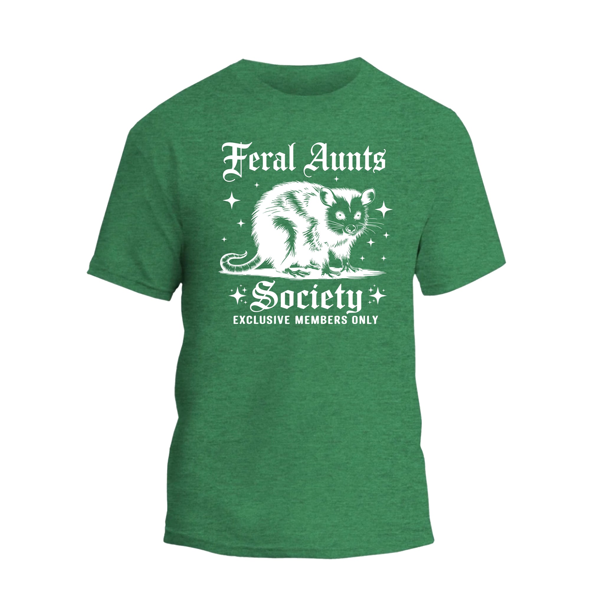 Feral Aunts Society Shirt, Funny Racoon Aunt T-shirt, Gift For Women